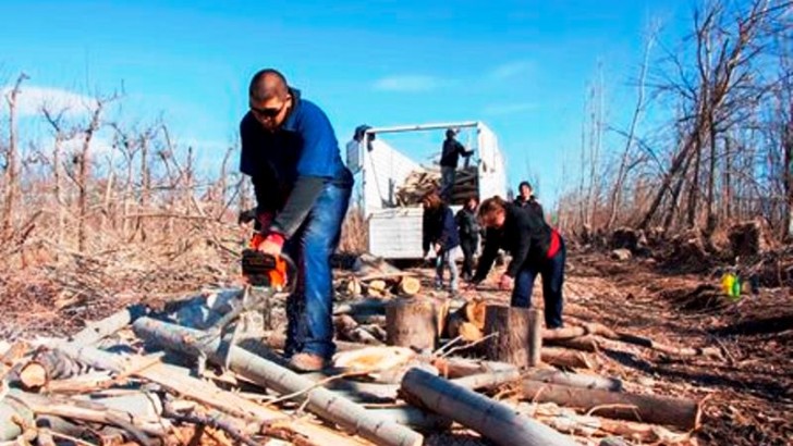 Asisten con leña a más de 350 familias de la ciudad de Neuquén