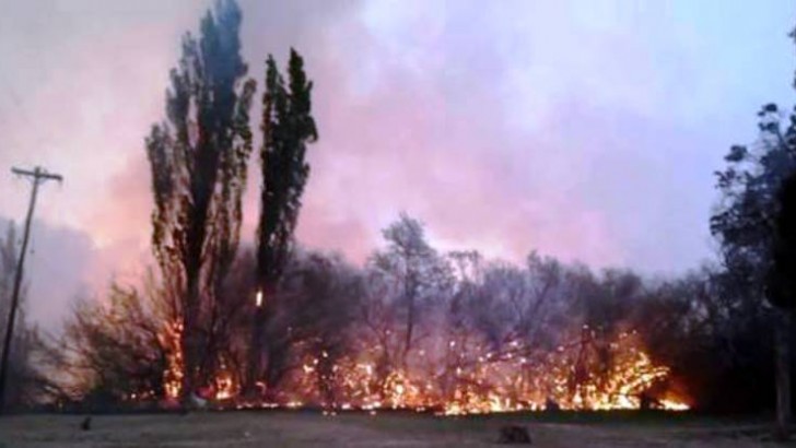 Incendio afecta la zona de Covunco