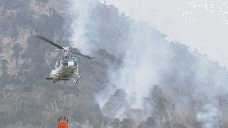 El fuego sigue descontrolado en Moquehue y ya consumió más de 25 hectáreas de bosque