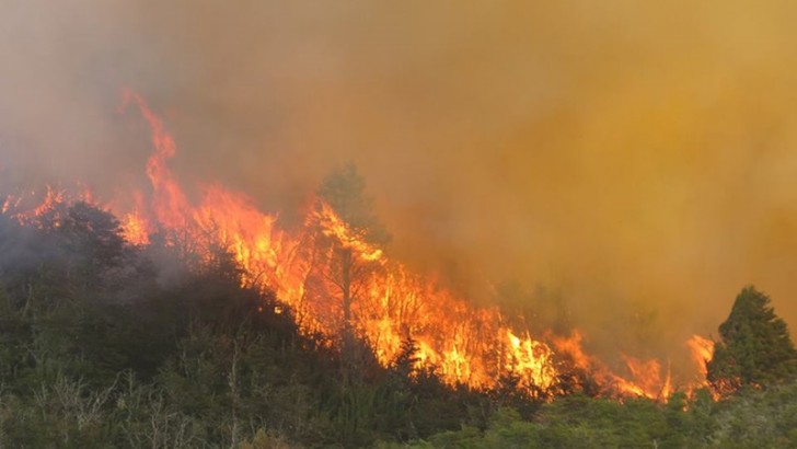 El Fuego no da tregua en Moquehue