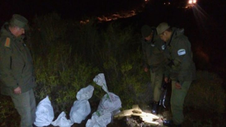 Tras un tiroteo, Gendarmería secuestró 53 kilos de droga