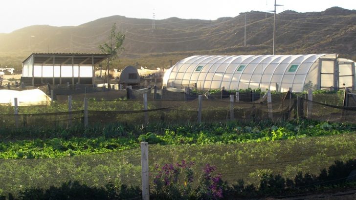 El Programa de Desarrollo Agroalimentario capacita en Cutral Co y Plaza Huincul