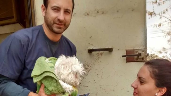 Continúa la campaña de desparasitación y esterilización de mascotas en Limay y Don Bosco III