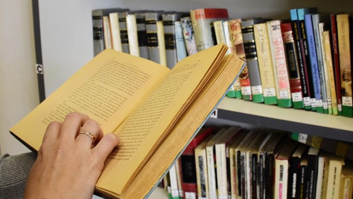 Capacitación en Zapala para personal de bibliotecas populares