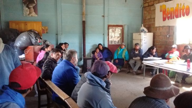 Reunión con comunidad mapuche Linares y docente experta en medicina mapuche en zona sur