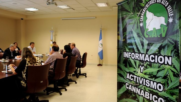 Diputados aprueban en comisión uso medicinal del cannabis
