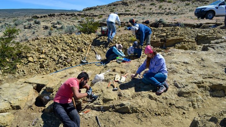 Rescataron restos de dinosaurios cerca de Las Lajas