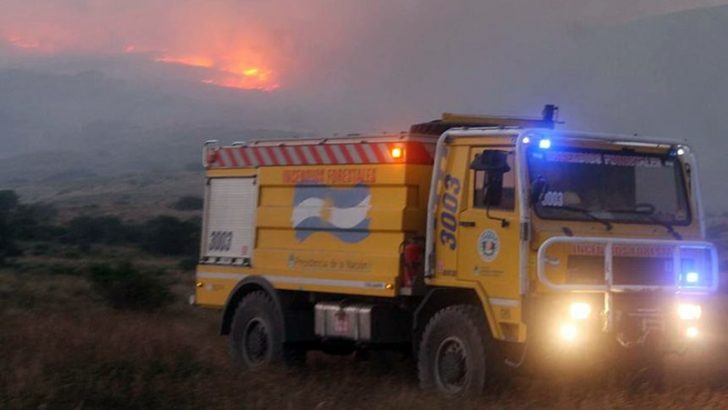 Más de 150 personas trabajan para combatir un incendio forestal en Junín de los Andes