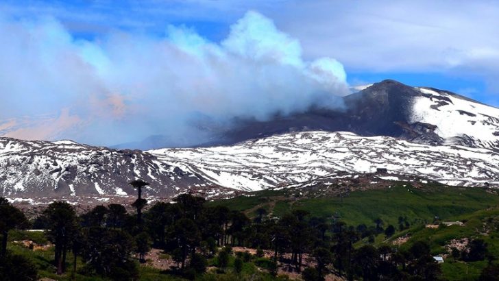 Volcán Copahue: elevan el alerta a amarillo