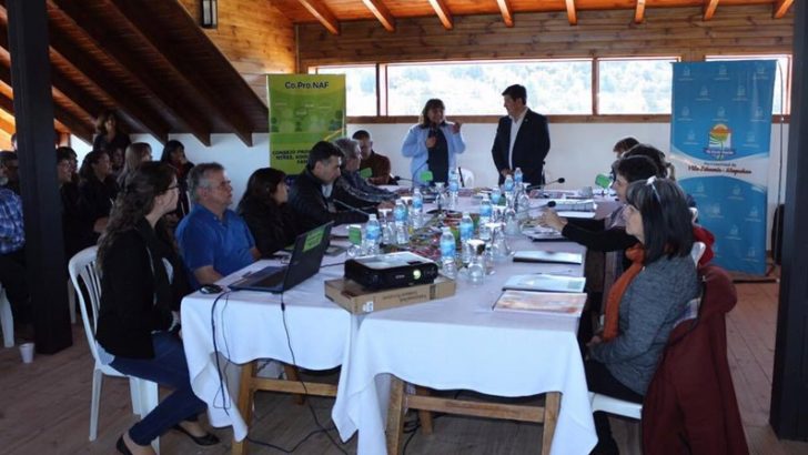 El Consejo Provincial de Niñez, Adolescencia y Familia celebró su 36ª sesión en Villa Pehuenia