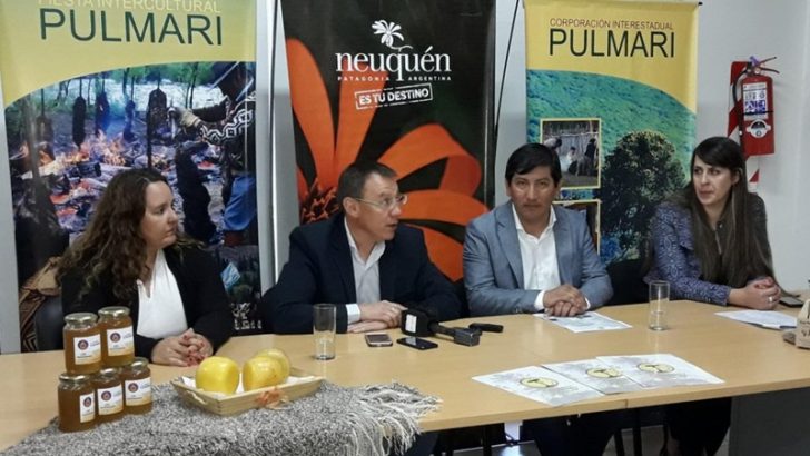 Lanzaron la 7º edición Fiesta Intercultural Pulmarí en Neuquén