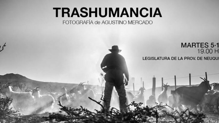 Legislatura:  Inauguración muestra fotográfica ‘Trashumancia’