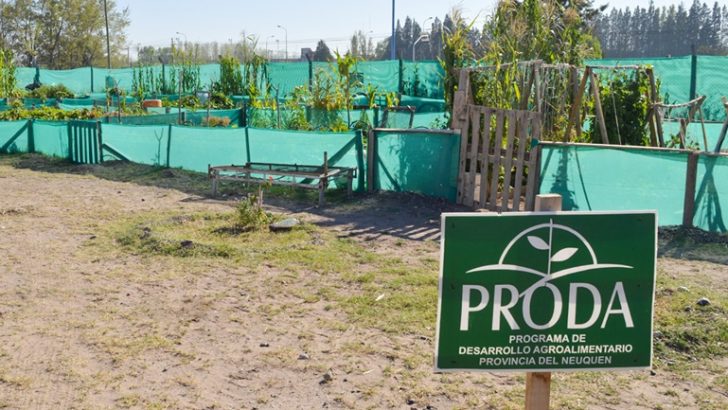 El Proda inaugura una nueva huerta en el Parque Industrial de Neuquén