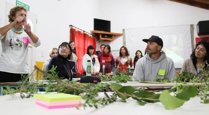Comenzó el Curso de “Vegetación, Flora y Fauna de Villa Pehuenia y Alrededores”