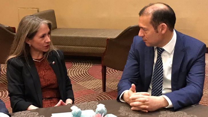 Gutiérrez se reunió con la ministro de Energía de Chile