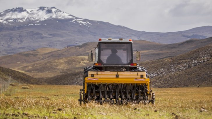 Neuquén amplió su capacidad forrajera con la siembra de 700 hectáreas