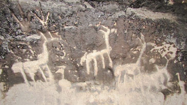 Hallaron dos cuevas naturales con presencia de arte rupestre cerca de Pilo Lil