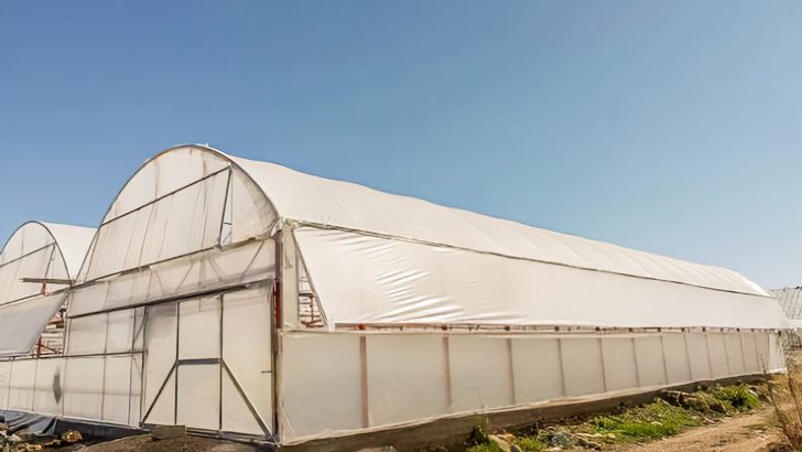 Zapala: El Municipio instalará 20 invernaderos para potenciar la producción local