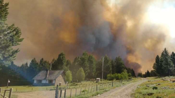 El viento de ayer complicó el enorme incendio forestal en Aluminé