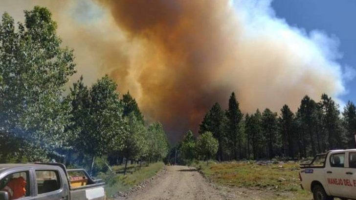 Incendio en Aluminé: “El fuego sigue activo y ya consumió 1300 hectáreas”