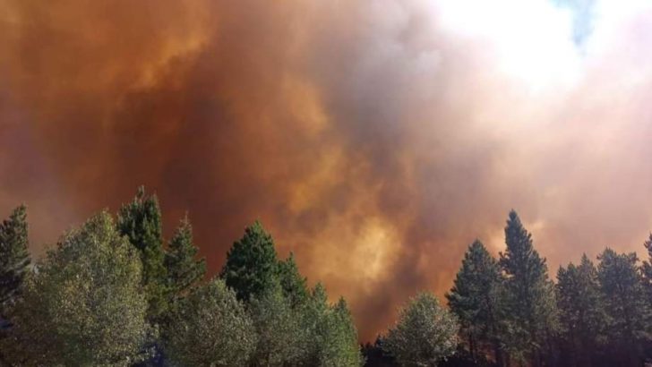 Incendio forestal afecta 400 hectáreas en un campo de Corfone, cerca de Aluminé