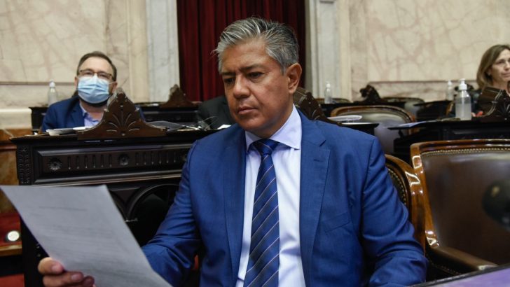 Rolando Figueroa presentó un pedido de informes al Ministerio de Ambiente sobre la actuación en los incendios de Quillén