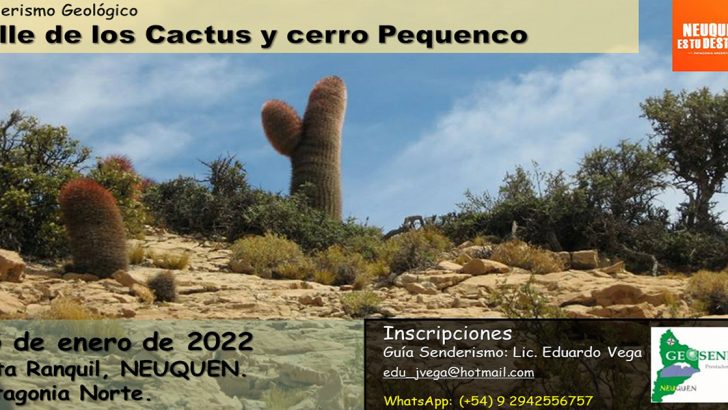 Invitan a conocer el Valle de los Cactus en el norte neuquino