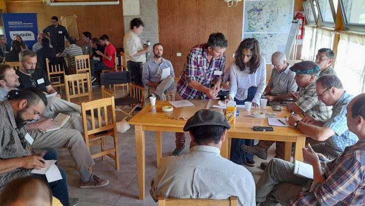 Forestoindustria: Comenzaron los talleres participativos para la conformación del Plan provincial