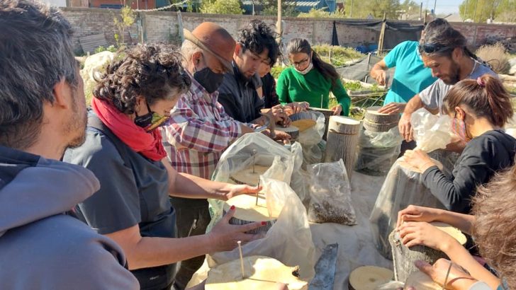 Dictan talleres de siembra de hongos en Neuquén y Zapala