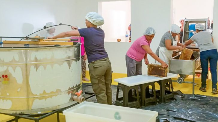 Se realizó la primera extracción de miel en la Sala Multipropósito de Villa del Nahueve