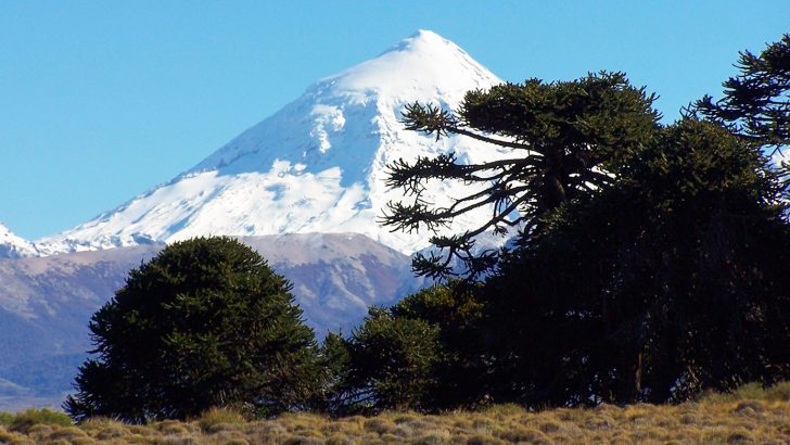 Patagonia planifica misión comercial y promocional a Estados Unidos