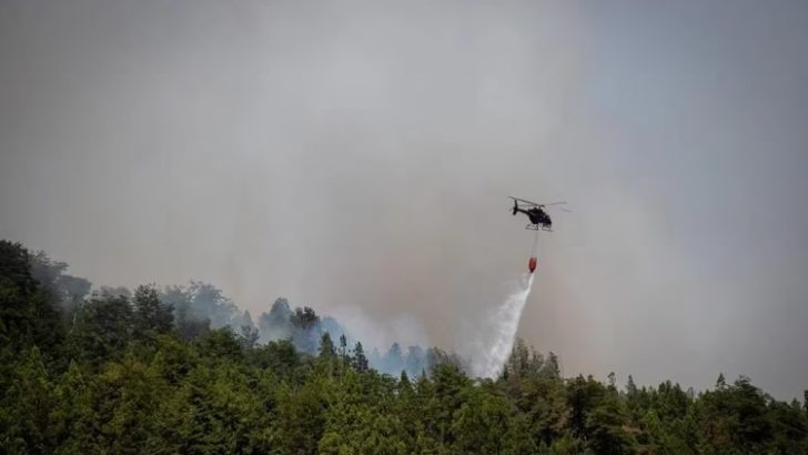 Unos 200 combatientes luchan contra un incendio forestal en El Bolsón: un detenido