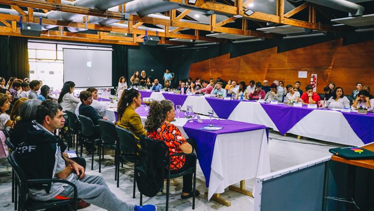 Sesión del Consejo Provincial de Discapacidad en Neuquén capital