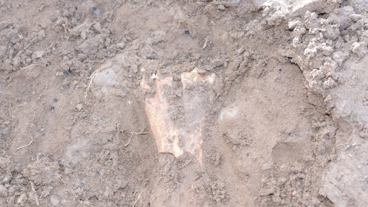 Andacollo: Descubren un tesoro arqueológico de más de 3000 años tras las inundaciones