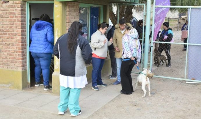 En una nueva jornada de castración especial, se esterilizaron 70 perros y perras en forma gratuita
