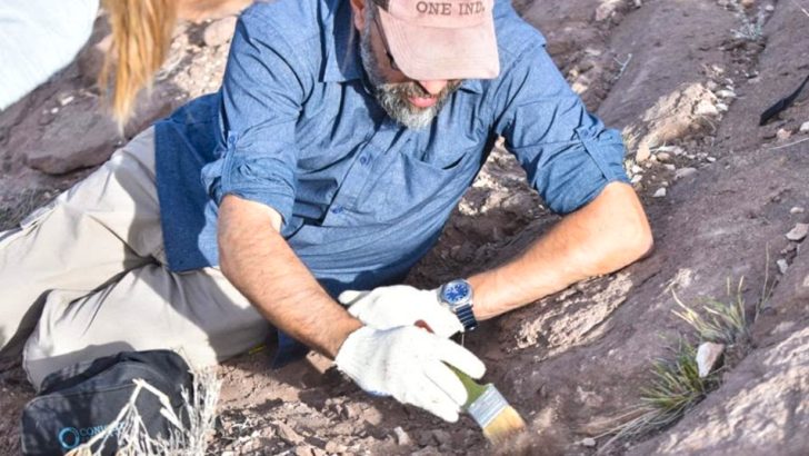 Se encontró el primer fósil de dinosaurio en la zona de Chos Malal