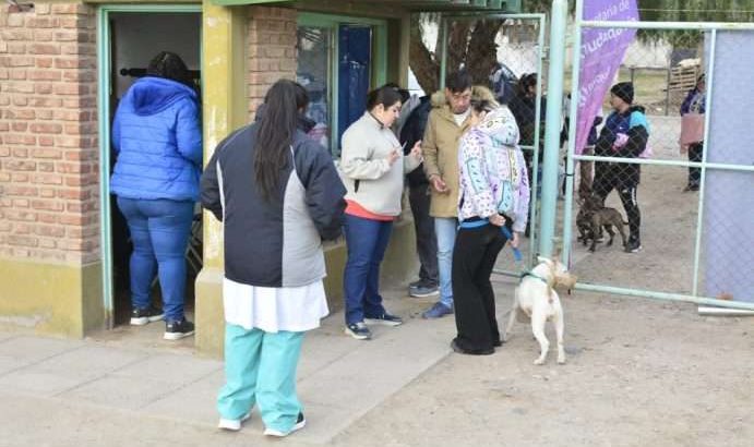 La municipalidad de Neuquén realizó 78.120 castraciones y 204.509 desparasitaciones a perros y gatos en los últimos 4 años