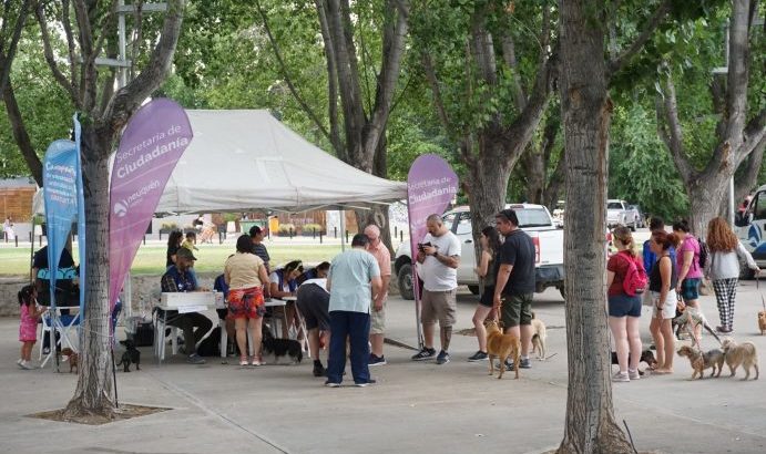 En solo dos horas el municipio vacunó contra la rabia a más de 300 perros