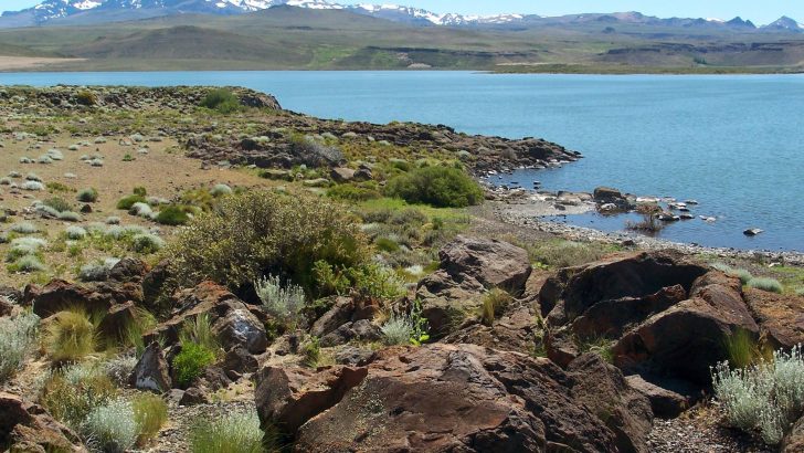 Registran un nuevo crecimiento de algas en Laguna Blanca