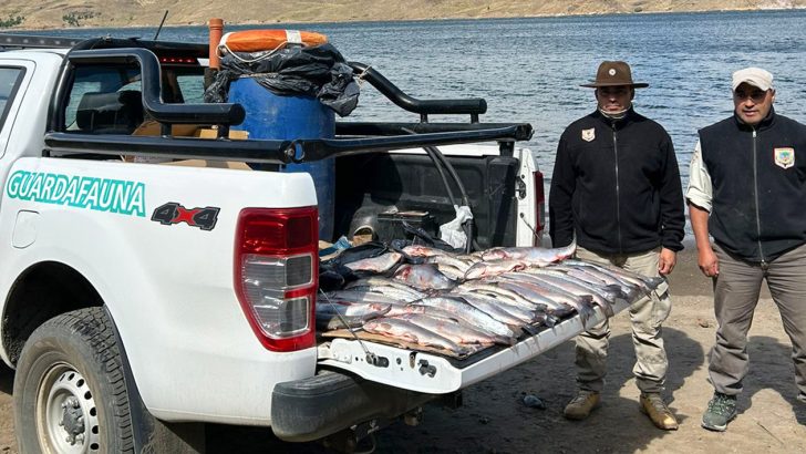 Pescadores y cazadores podrán recuperar sus elementos secuestrados