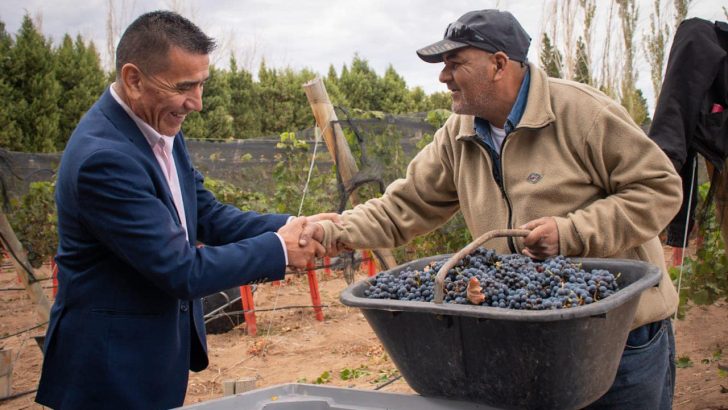 Rioseco pone en valor la producción local desde los viñedos